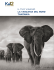IL TUO VIAGGIO LA TANZANIA DEL NORD TANZANIA