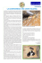 Veterinaria - Club Italiano del Beagle