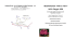 Manifestazione “Ville in Fiore” 14/15 Maggio 2016