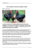Come adottare e allevare le galline ovaiole