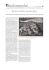 pdf - Fondazione Internazionale Menarini