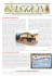 Castiôn - Giugno 2013 (Scarica in PDF)
