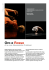 pressbook - alessandra cristiani