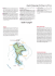 Thailandia - PlayaCard