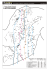Scarica il file PDF