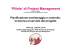 `Pill l ` di P jt M t `Pillole` di Project Management - PMI-NIC
