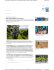 Lodi, week end slow e gourmand - Traveller