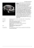Nabucco Limited Edition in Partnership with Gibson