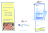 Brochure Massaggio infantile