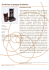 NEMO_29_espositori_30x4014/10/2015 21:41:03