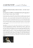 Pagina 3 - LANOTIZIAWEB.IT