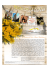 Festa della Donna - Coop. Colline Metallifere