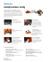 scheda tecnica decespugliatore husqvarna 243rj