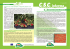 2010 newsletterCSC_n8.indd