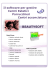 beautysoft