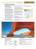 Scarica il Pdf