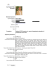 Curriculum Vitae Europass