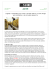 elaborazione news e creazione/invio pdf