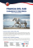 francia del sud - Reporter Viaggi