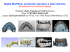 Scarica il curriculum e l`abstract del corso
