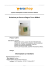 Erashop MarketPlace - Soluzione per Sauna e Bagno Turco 5000ml