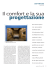 software - Meccanica Plus