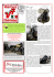 Rock `n` roll V7