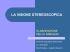 la visione stereoscopica