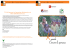 Progetto Rwanda - Provincia di Massa
