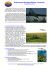 Scarica PDF - Adventure4You
