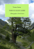 Elenco Alberi Monumentali del Corpo Forestale per Valle d`Aosta