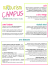 Scarica il programma e il calendario del Natourism CAMPUS