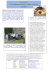 NEWLETTER MARISTA 1bis
