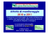 Diapositiva 1 - Agricoltura Regione Emilia