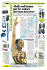 Linda Cerruti - dna sport consulting