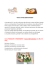 Corso VisualFood - Chiara con gusto