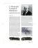 Visualizza il documento PDF