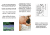 TRATTAMENTI SHIATSU - Spazio Culturale Aretè