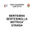 1-bertesinella - Comune di Vicenza