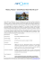 newsletter 29 feb - messico