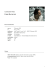 Curriculum Vitae Fabio Bacaloni