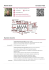 Roberto Girelli Curriculum Vitae