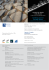 Invito Sina mail_Layout 1 - Gruppo-Sina