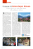 Comune di Brione s/Minusio - Comune di Brione sopra Minusio