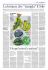 Leggi l`articolo