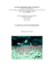 pdf, 326.688 bytes