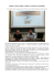 Politica e nuovi media: a lezione con Francesco Nicodemo