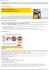 Shell Rimula R6 LM - Italia