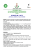 Scarica il documento - formato pdf