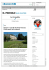 BLOG D`AUTORE